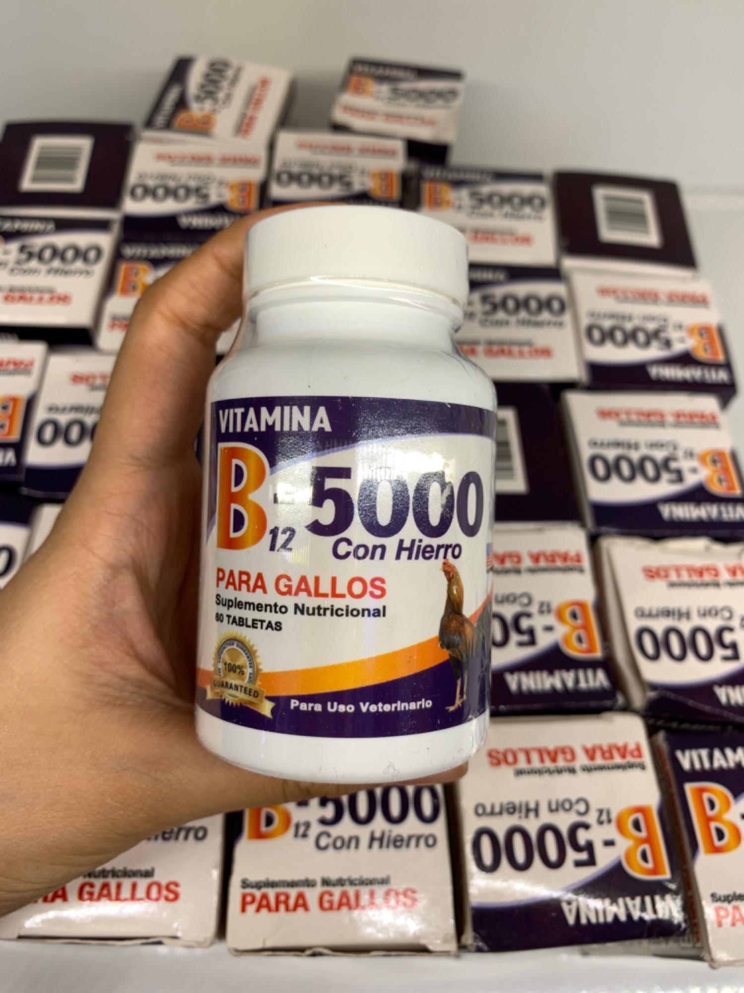 B12 5000 - VIÊN UỐNG BỔ SUNG VITAMINS CHO GÀ