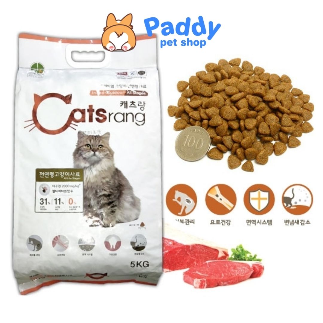 Hạt Catsrang Cho Mèo Mọi Lứa Tuổi