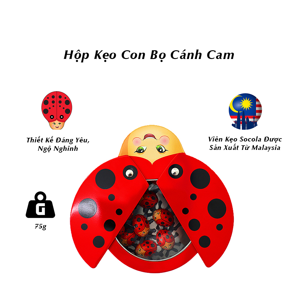HỘP KẸO SOCOLA BỌ CÁNH CAM