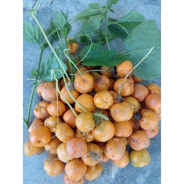 Quả lạc tiên khô (Quả trùm bao) thơm ngon 100g