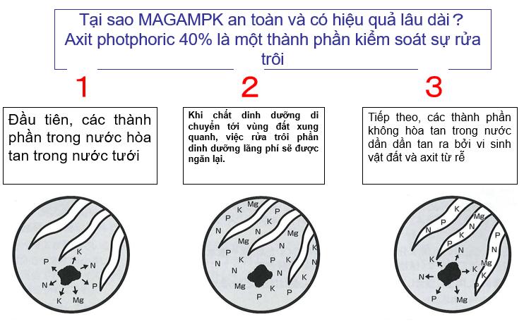Phân tan chậm Hyponex Magamp K túi 600g/ 100gr