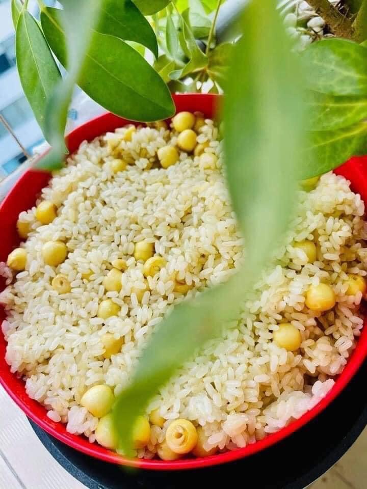 Tuperware - Xửng hấp STEAM IT 2 tầng/ 3 tầng Tupperware