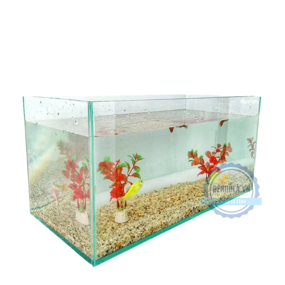 [Hoàn Tiền 10%] Bể cá mini để bàn [D40cm x R20cm x C20cm] để bàn làm việc