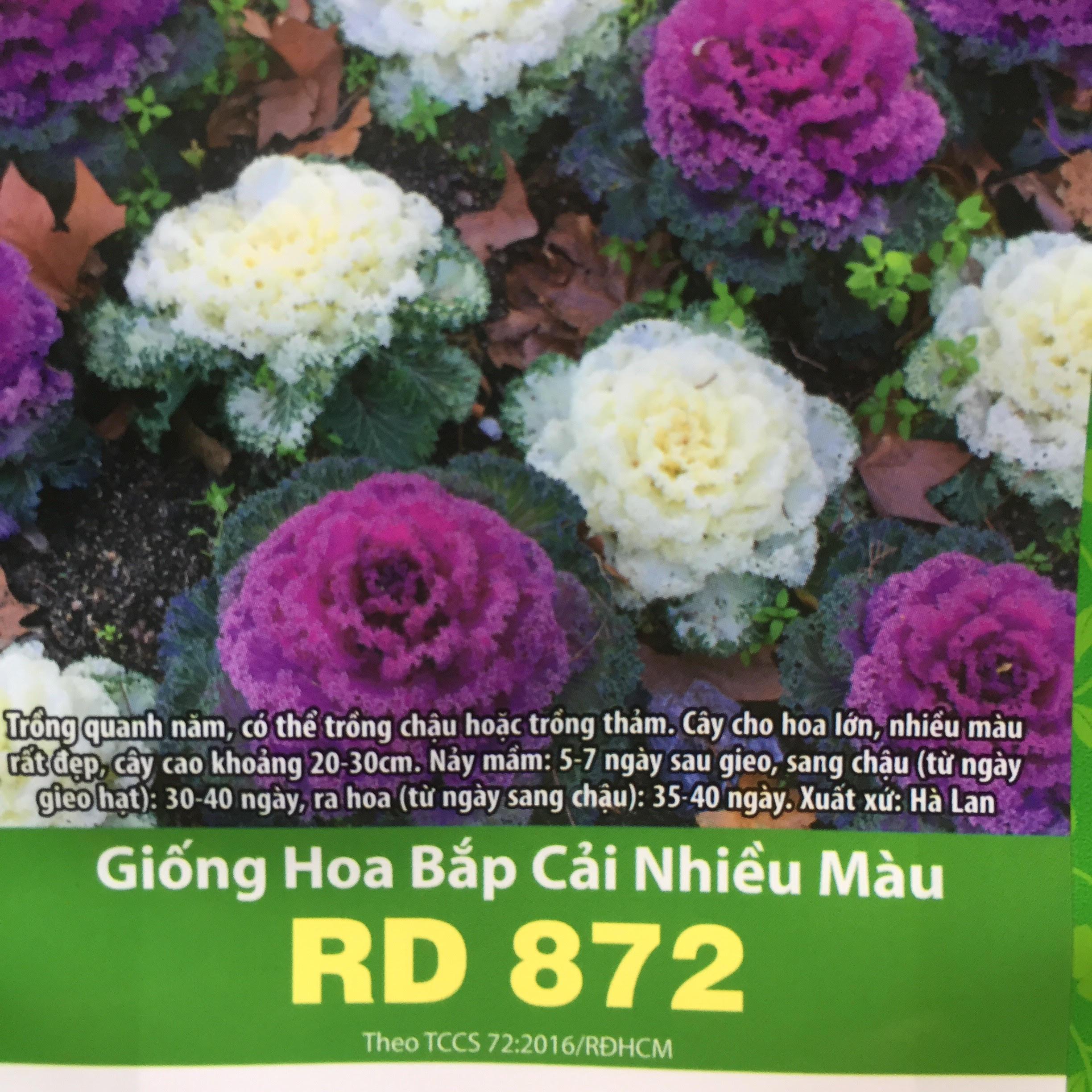 Hạt Giống Hoa Bắp Cải Nhiều Màu (0.03gr)