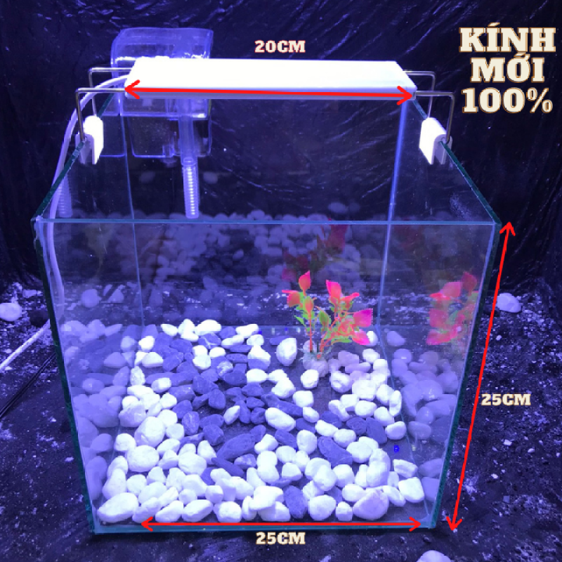 bể cá cubic 25cm combo hồ lọc đèn đầy đủ phụ kiện - bể cá mini - bể cá để bàn mini - bể cá mini