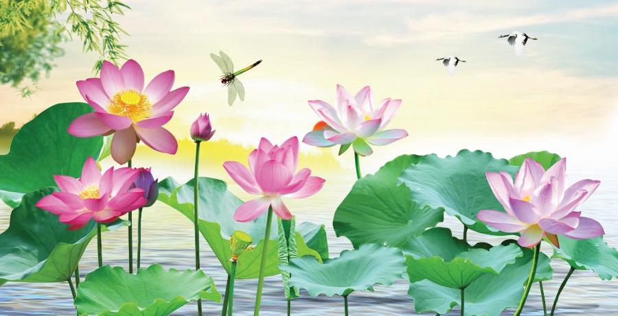 Tranh dán tường VTC Hoa sen UD0001 Kim sa