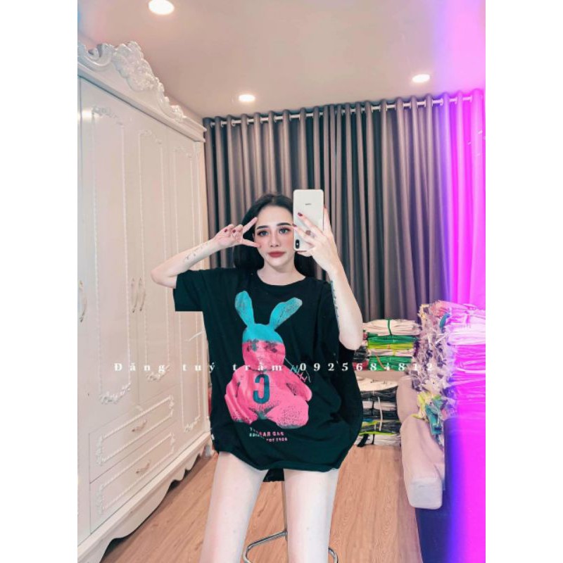 Áo Phông Gấu Nelly Siêu Đẹp