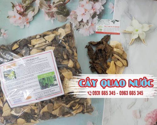 Cây Quao Nước Khô 1KG - Thảo Dược Thanh Bình