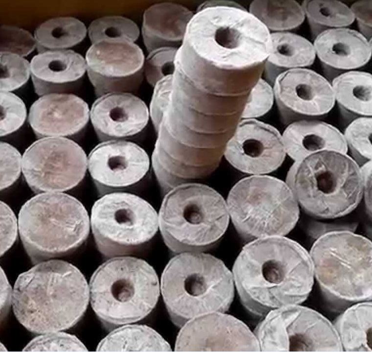 COMBO 20 viên nén ươm hạt - viên nén xơ dừa ươm hạt