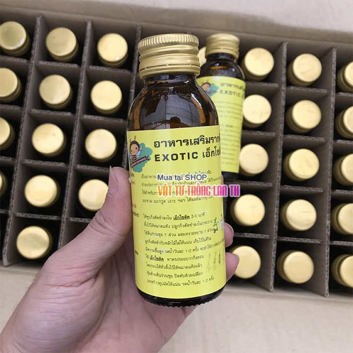 Kích rễ siêu mạnh Exotic hàng Thái Lan – lọ 100ml