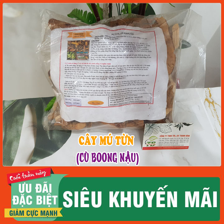 Cây Mú Từn Cù Boong Nậu 100G Khô Loại 1 - Dược Phẩm Thanh Bình