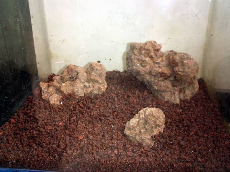 [HCM]NHAM THẠCH LỌC NƯỚC VIÊN NHỎ HỒ CÁ TÚI 1KG