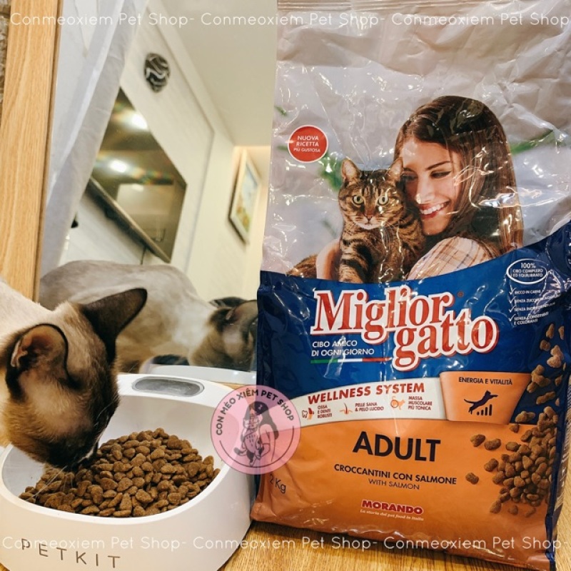 Hạt Mèo Morando Miglior Gatto 2Kg- Thức Ăn Khô Dinh Dưỡng Cho Mèo Simple Pet Shop