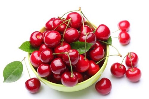 hạt giống Anh Đào ( Cherry)