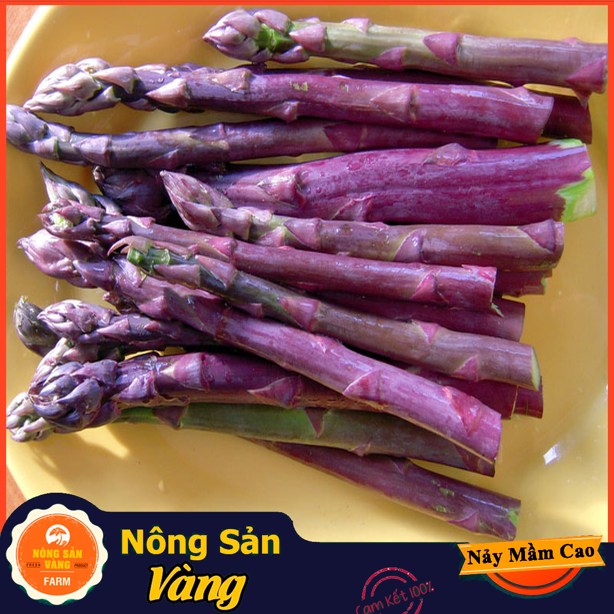 Purple asparagus seeds with good vitamin and mineral content for body (10-pack)-shallow yellow