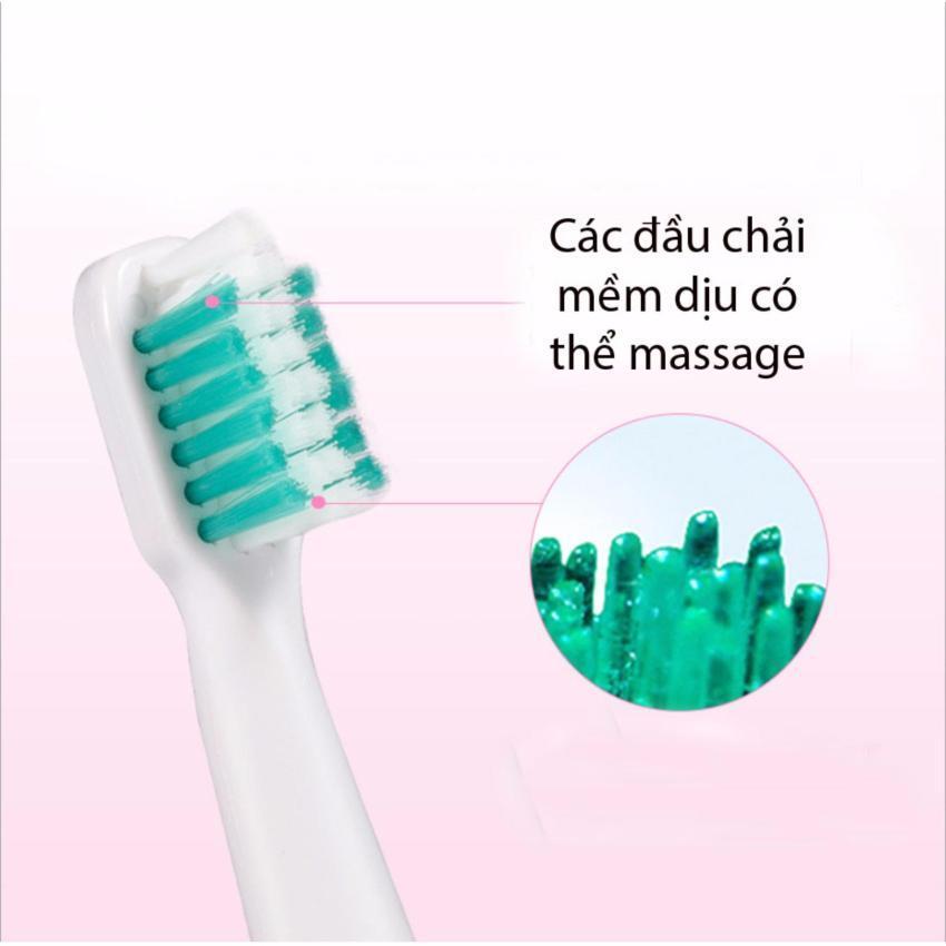 Hanrui - Bàn chải đánh răng điện sạc Borui (Nhập khẩu Đức)