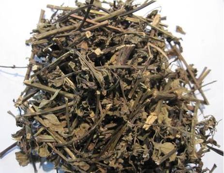 Cây râu mèo khô 500g GT084