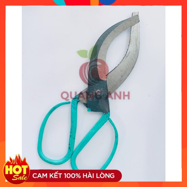 [FreeShip] Kéo Khoanh Vỏ Cây Lưỡi Mịn - CỠ LỚN - khoanh vỏ Bưởi, Nhãn,...