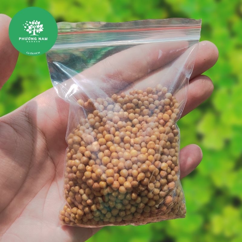 Phân tan chậm vàng (100g) - Phân bón sen đá tốt nhất