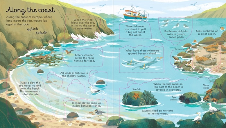 LOOK INSIDE SEAS AND OCEANS
