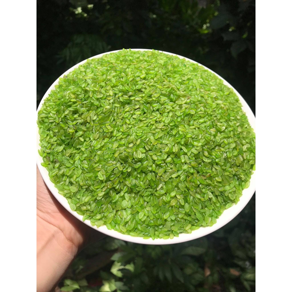 1Kg Cốm khô Tây Bắc, cốm xanh khô nấu chè, nấu xôi, làm chả cốm