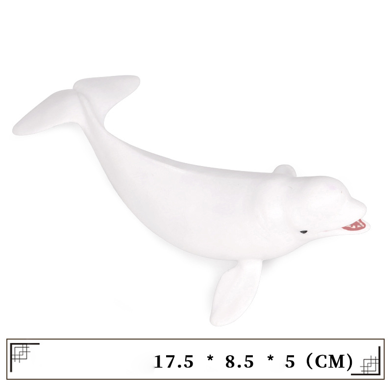 Beluga White Dolphin animal model