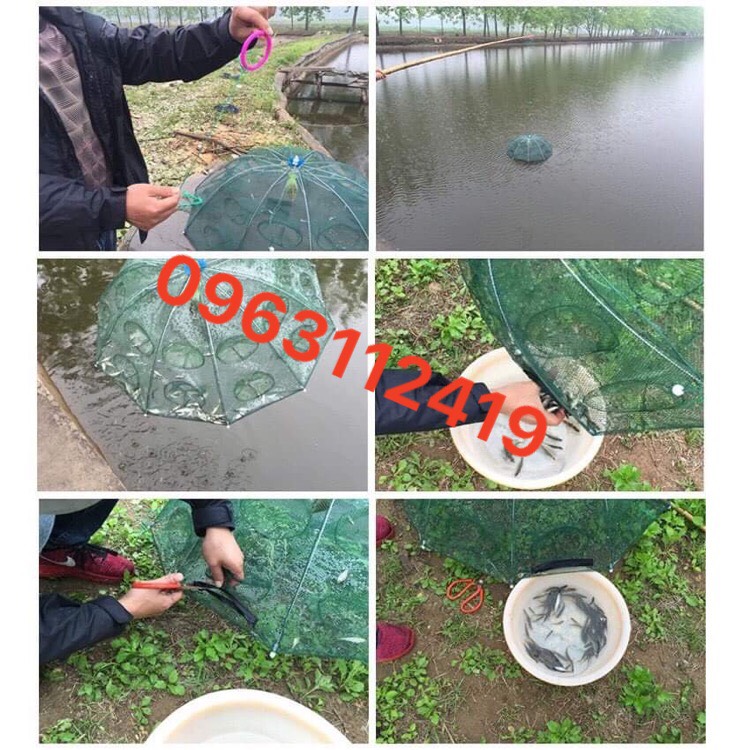 Lưới bát quái bắt cá 8 cửa