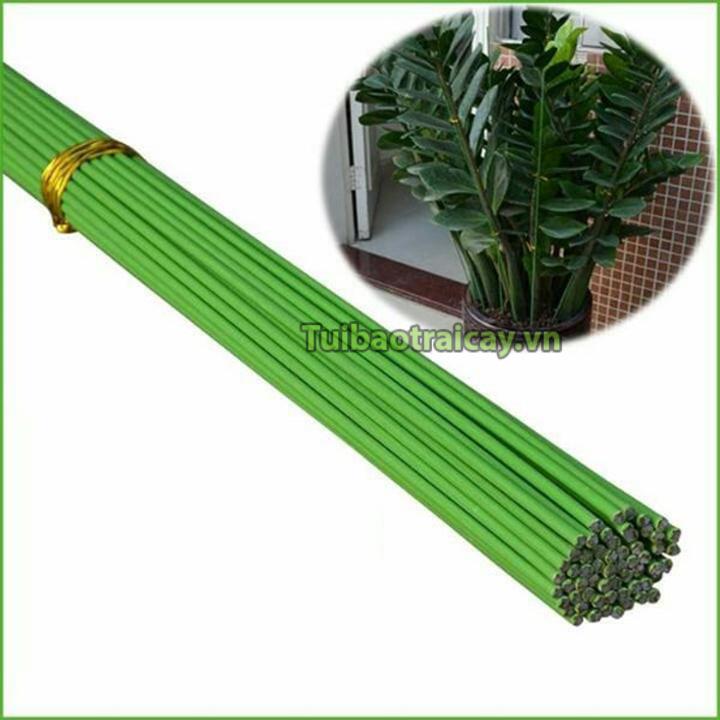10 Que cắm lan màu xanh dài 80cm