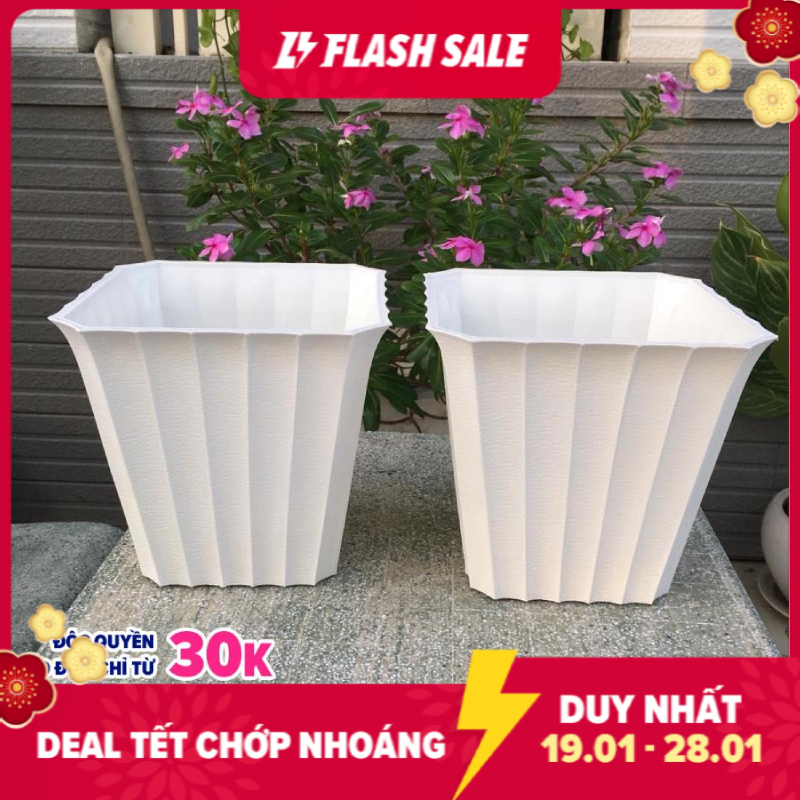 Bộ 2 chậu trồng hoa khía vuông màu trắng size 22x22x14cm - Phù hợp các loại cây rau hoa kiểng trang trí văn phòng phòng khách vườn nhà…