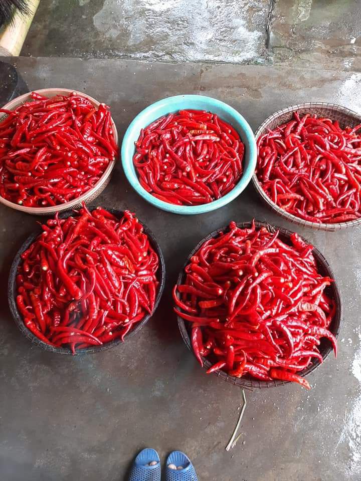 Ớt bột Huế  siêu cay chất lượng 500gr nhà làm
