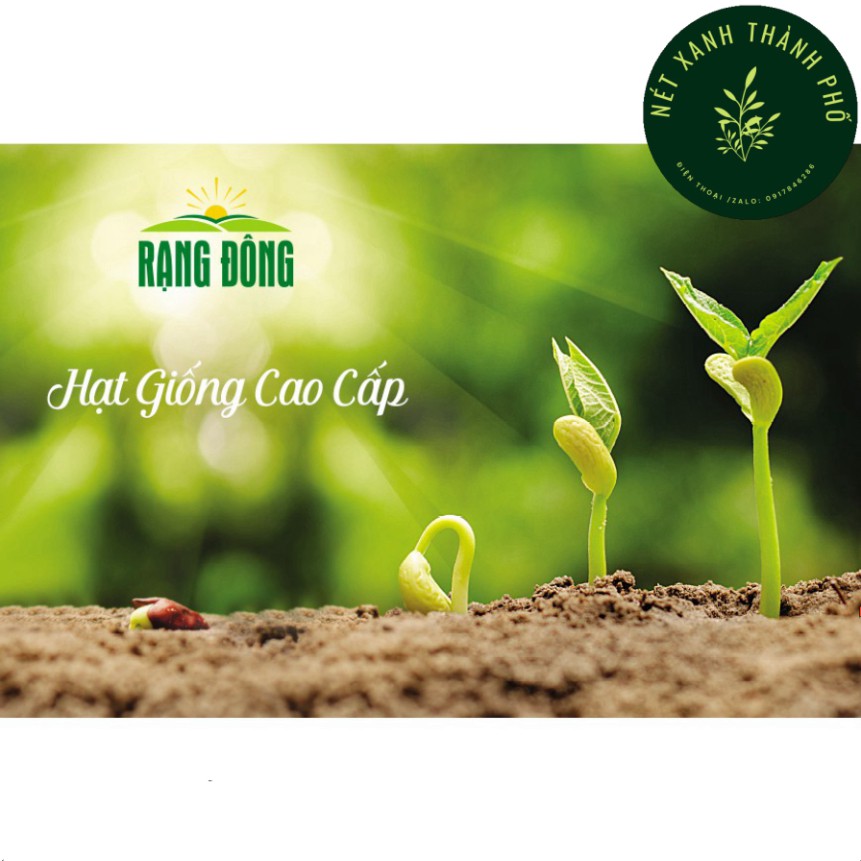 [GIAO HÀNG 2 GIỜ] Hạt giống Hẹ Lá, Hẹ Ta chịu nhiệt 1gr