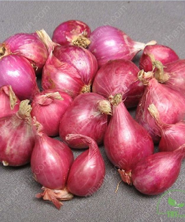 High Yield Red Onion Seeds 2Gr/Package