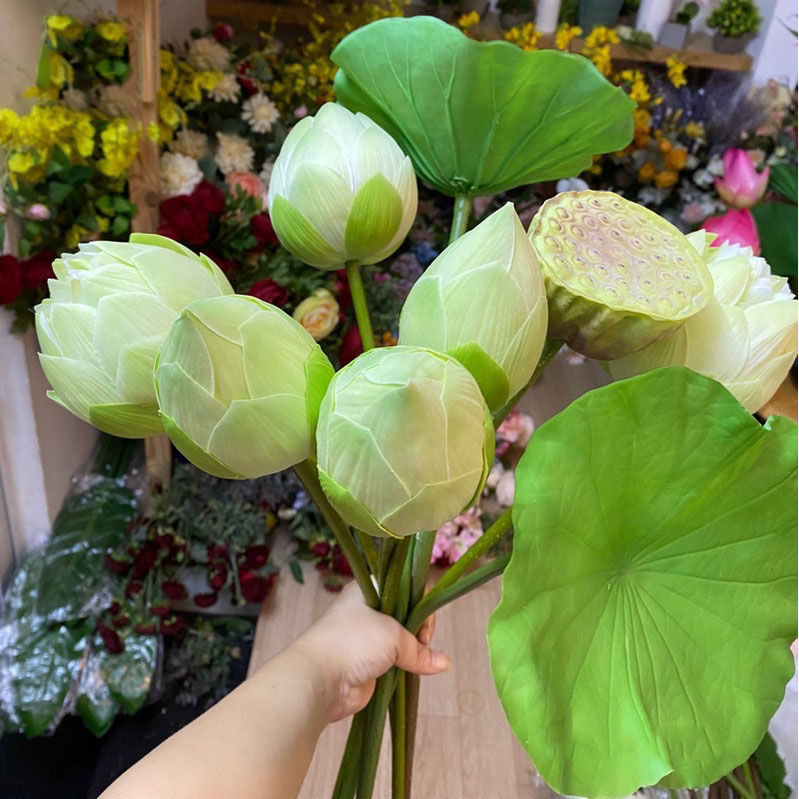 Hoa Sen Quan Âm, Hoa Sen Giả HL051-4