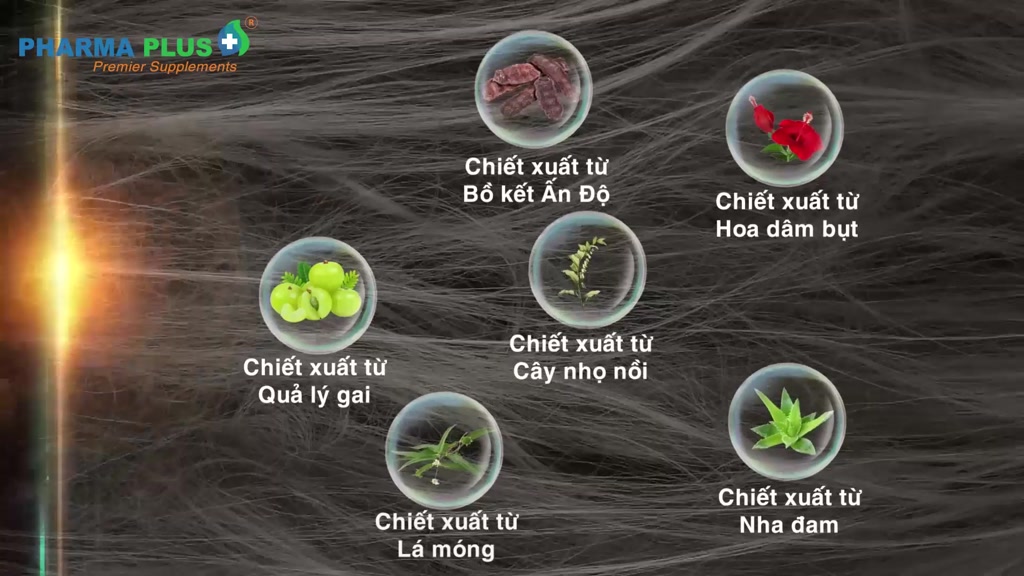 Nhuộm Đen Tóc Thảo Dược Pharma Plus