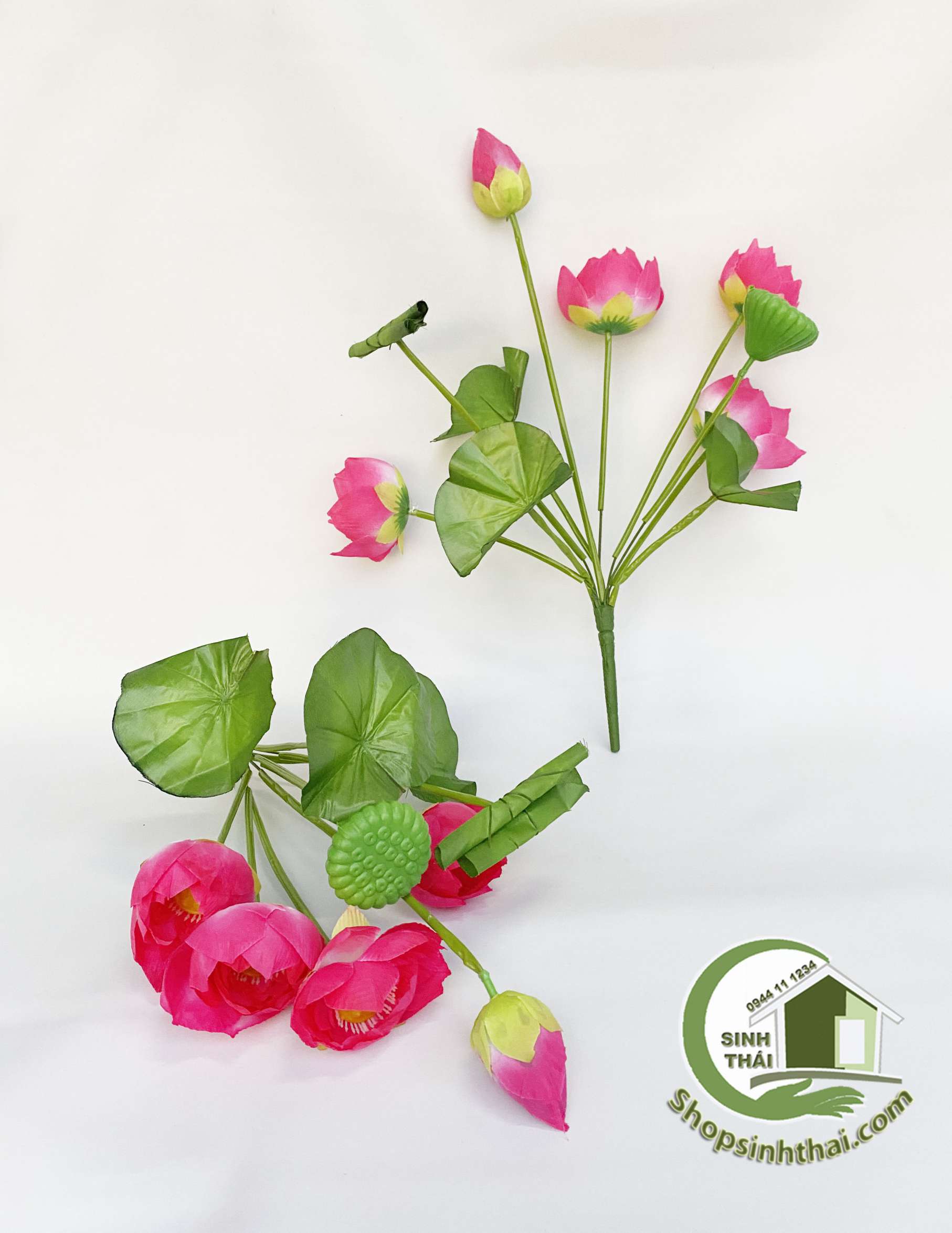 Hoa sen giả - Bụi sen lá cuốn lớn