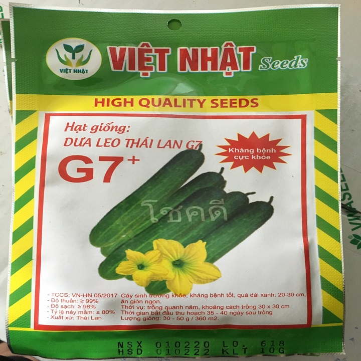 Hạt giống Dưa leo Thái Lan G7