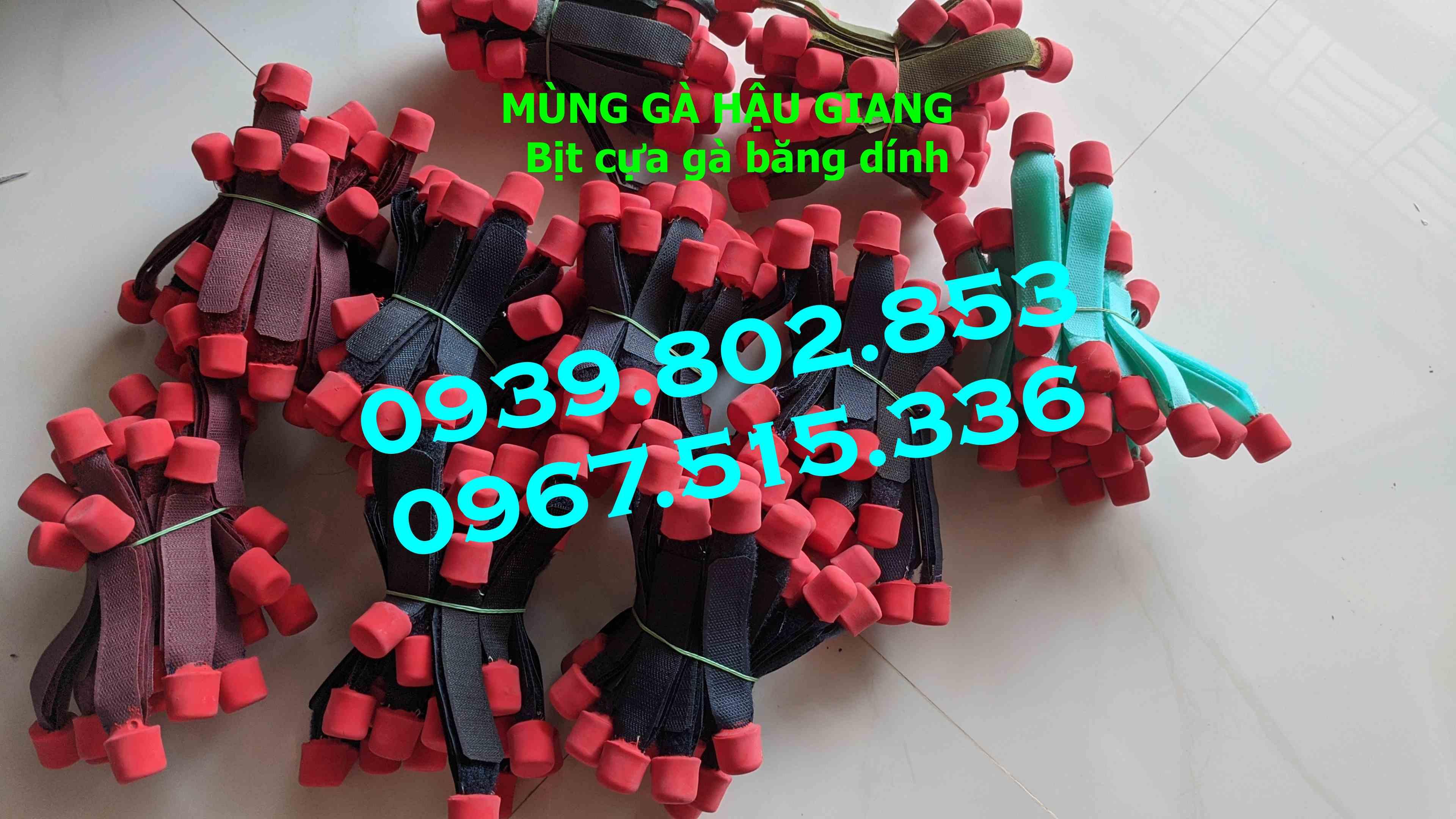 Bịt cựa gà nòi giá rẻ (1 bộ 4 cái)