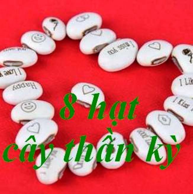 8 hạt cây thần kỳ