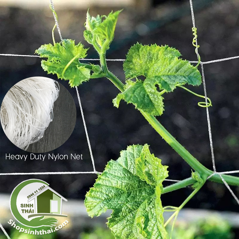 [HCM]Lưới cước làm giàn leo màu trắng lỗ rộng 20cm làm hàng rào lưới chắn bóng [ 1m x khổ 7m ]