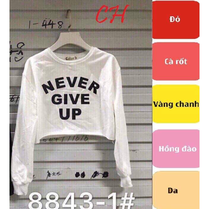 Áo crotop chữ dài tay CH2108