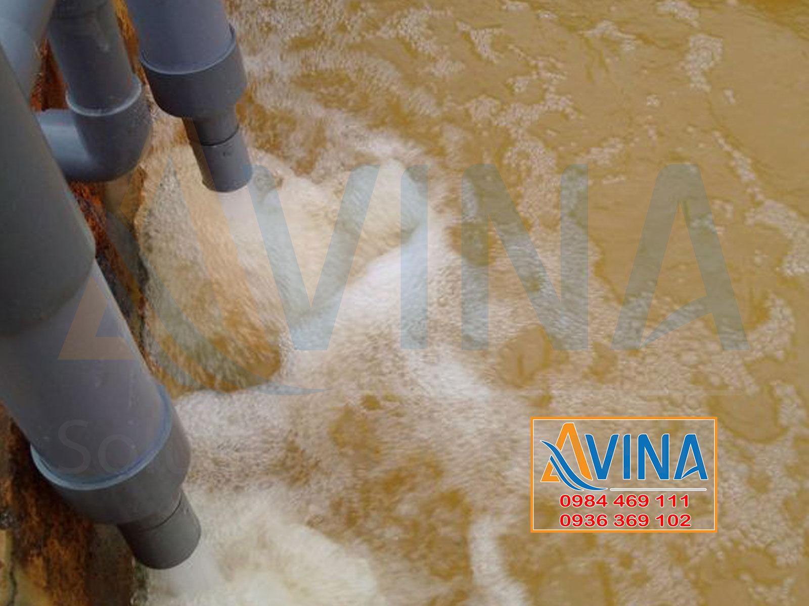 COMBO 10 EJECTOR TRỘN KHÍ OXY XỬ LÝ NƯỚC SẮT - AVINA
