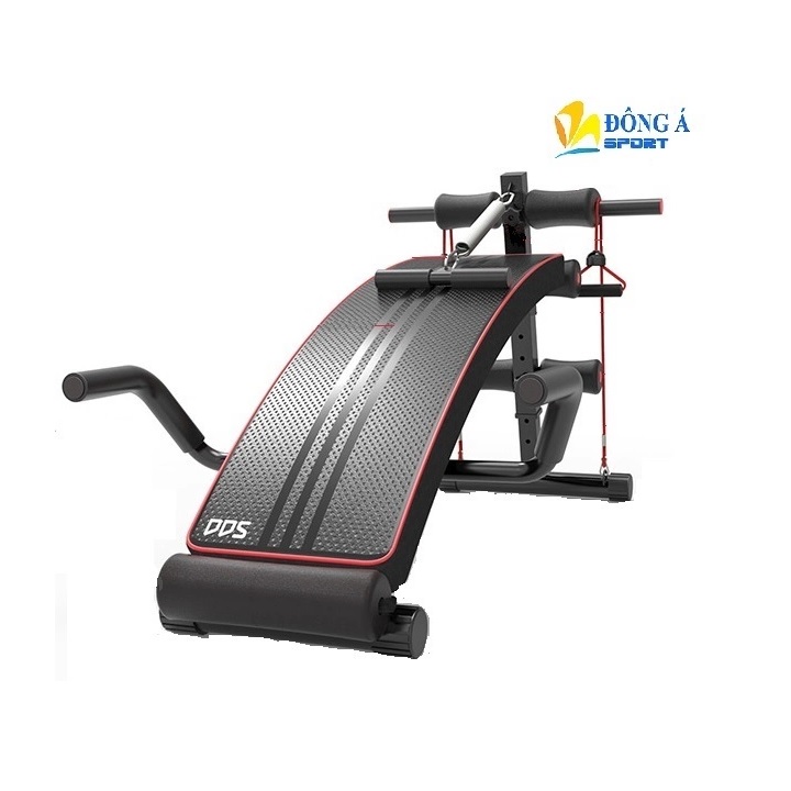 Ghế tập bụng đa năng DDS-104