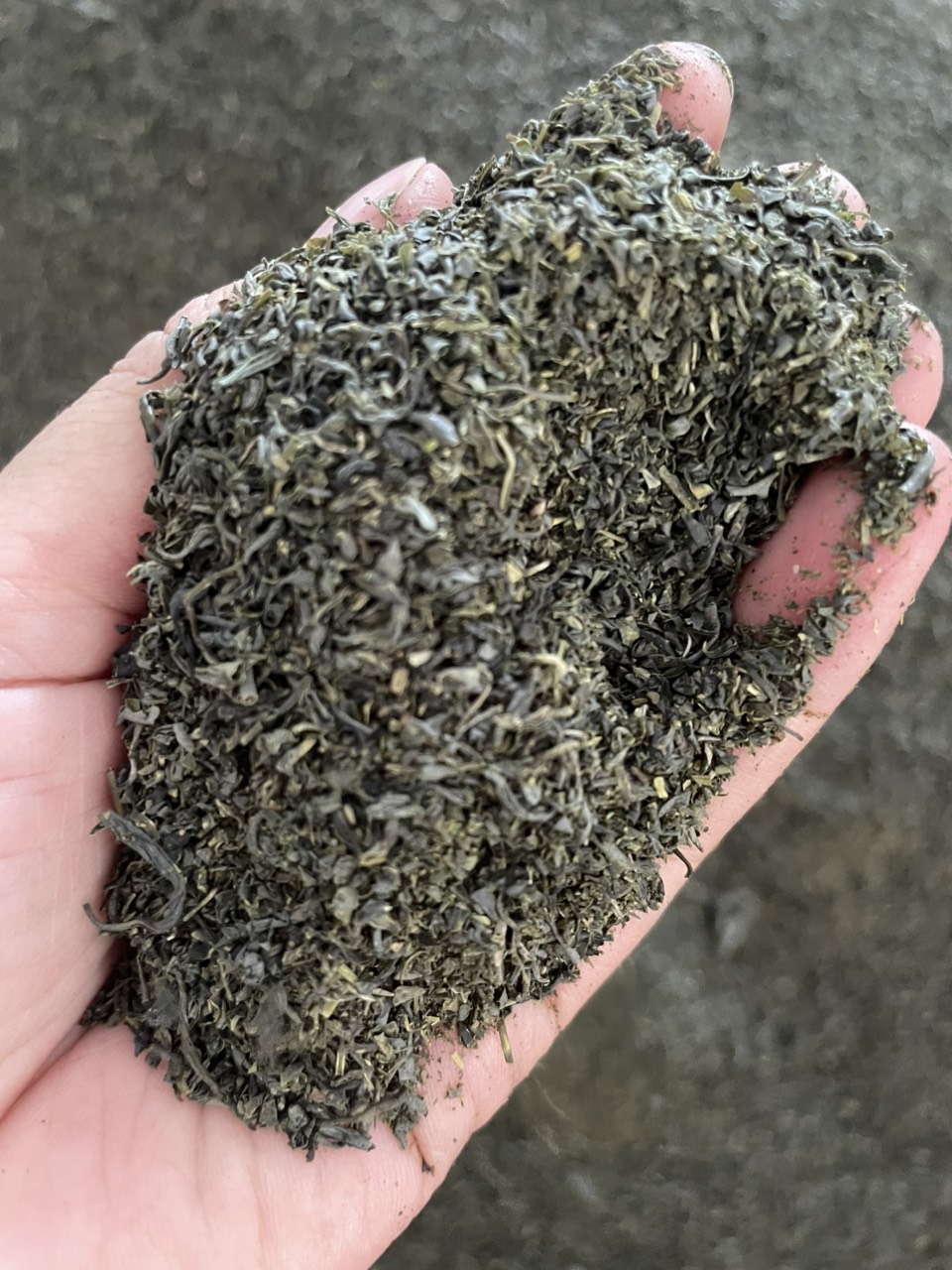 Trà Tấm Ngon 1kg