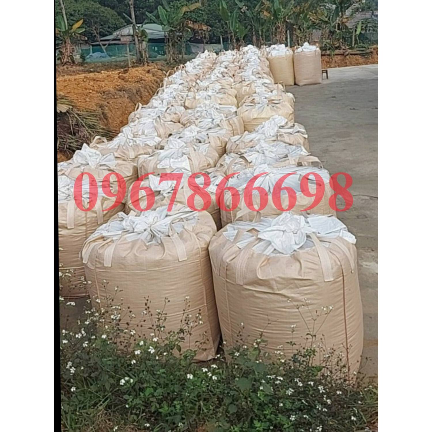 bao ủ chua bắp, cỏ rất hiệu quả