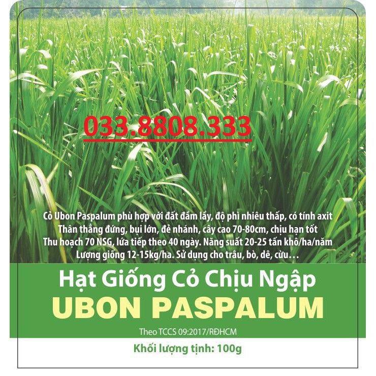 Hạt giống cỏ chăn nuôi Ubon Paspalum - Cỏ xả chịu ngập 100g - Hạt Giống Cỏ Chăn Nuôi Trâu,Bò,dê,cừu,cá... đem lại năng xuất cao trong ngành chăn nuôi