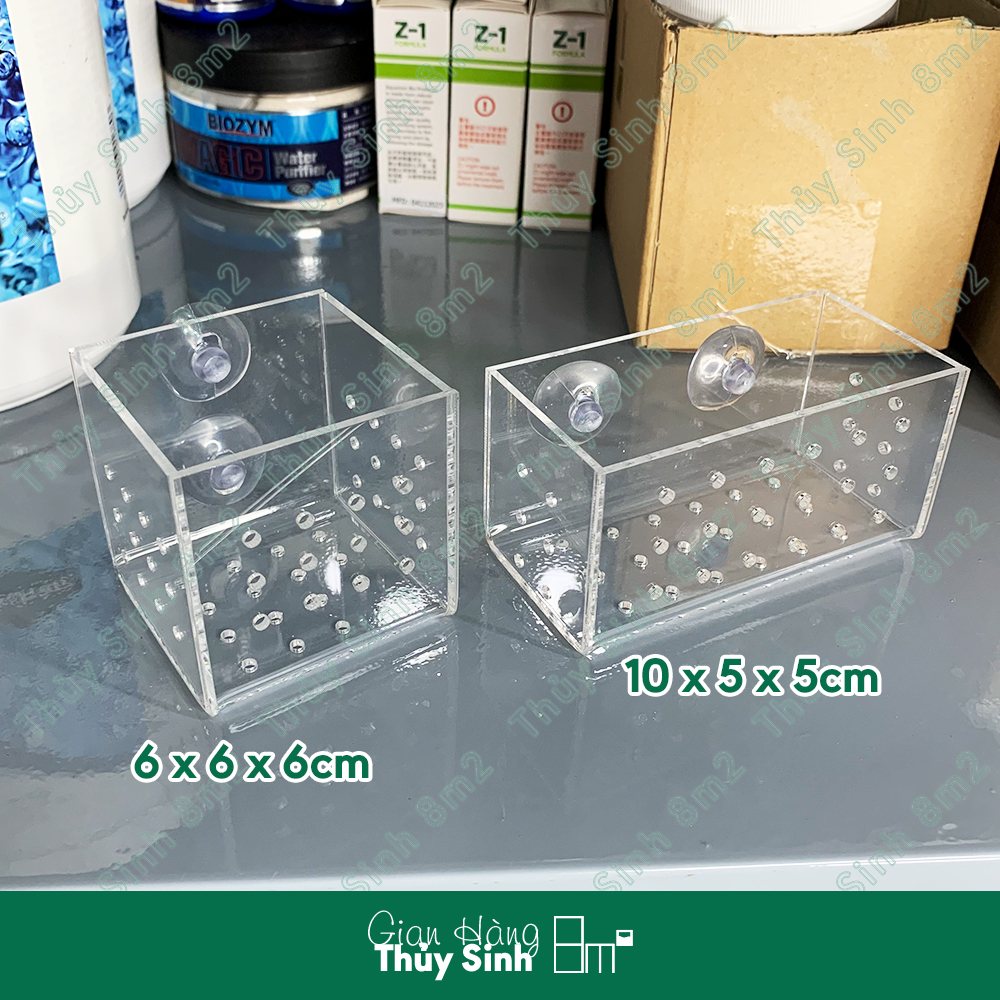 (Nhiều Mẫu) Cốc Trồng Cây Thủy Sinh Acrylic - 8m2