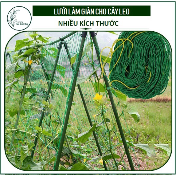 Lưới Làm Giàn Cây Leo Dưa, Mướp, Đậu leo