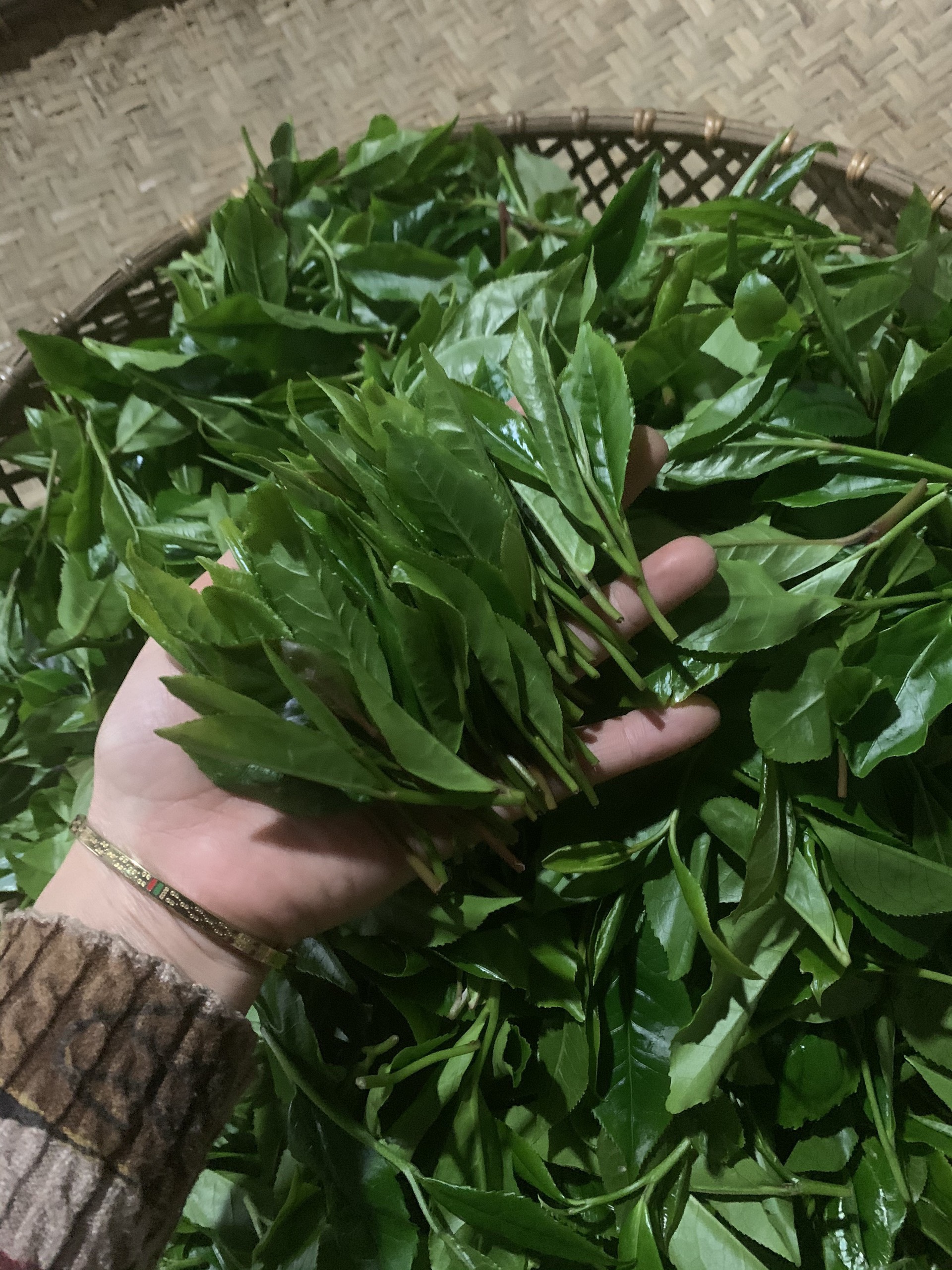 Trà Bát Tiên Thái Nguyên Tư Quý(3 gói 100g)