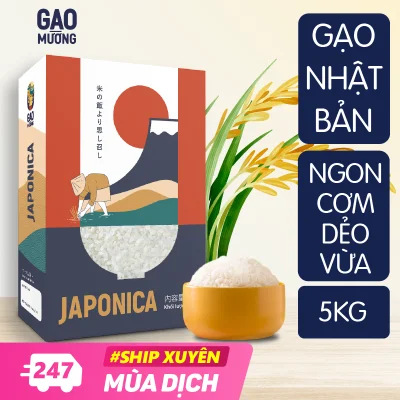 5Kg Gạo Organic Japonica Nhật Bản - GAO Mường - Ngôi Sao Tây Bắc - Gạo Hữu Cơ Chuẩn Vị, Cơm Dẻo Vừa, Thơm Ngon