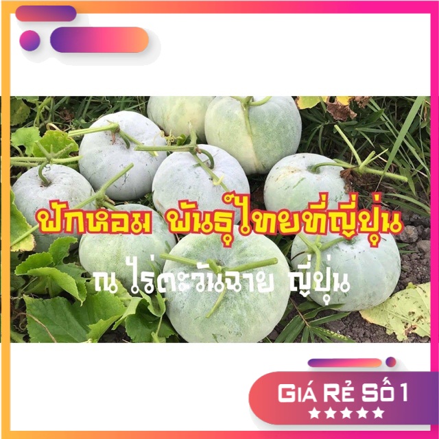 Hạt giống bí nếp trong Chieng Mai - Nhập khẩu Chia tai Thái Lan nguyên bao bì